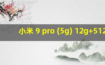 小米 9 pro (5g) 12g+512g